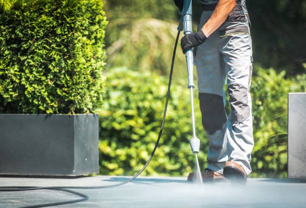 Best Pre-Holiday Cleaning  in Mona, UT