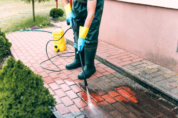 Best Animal Enclosure Cleaning  in Mona, UT